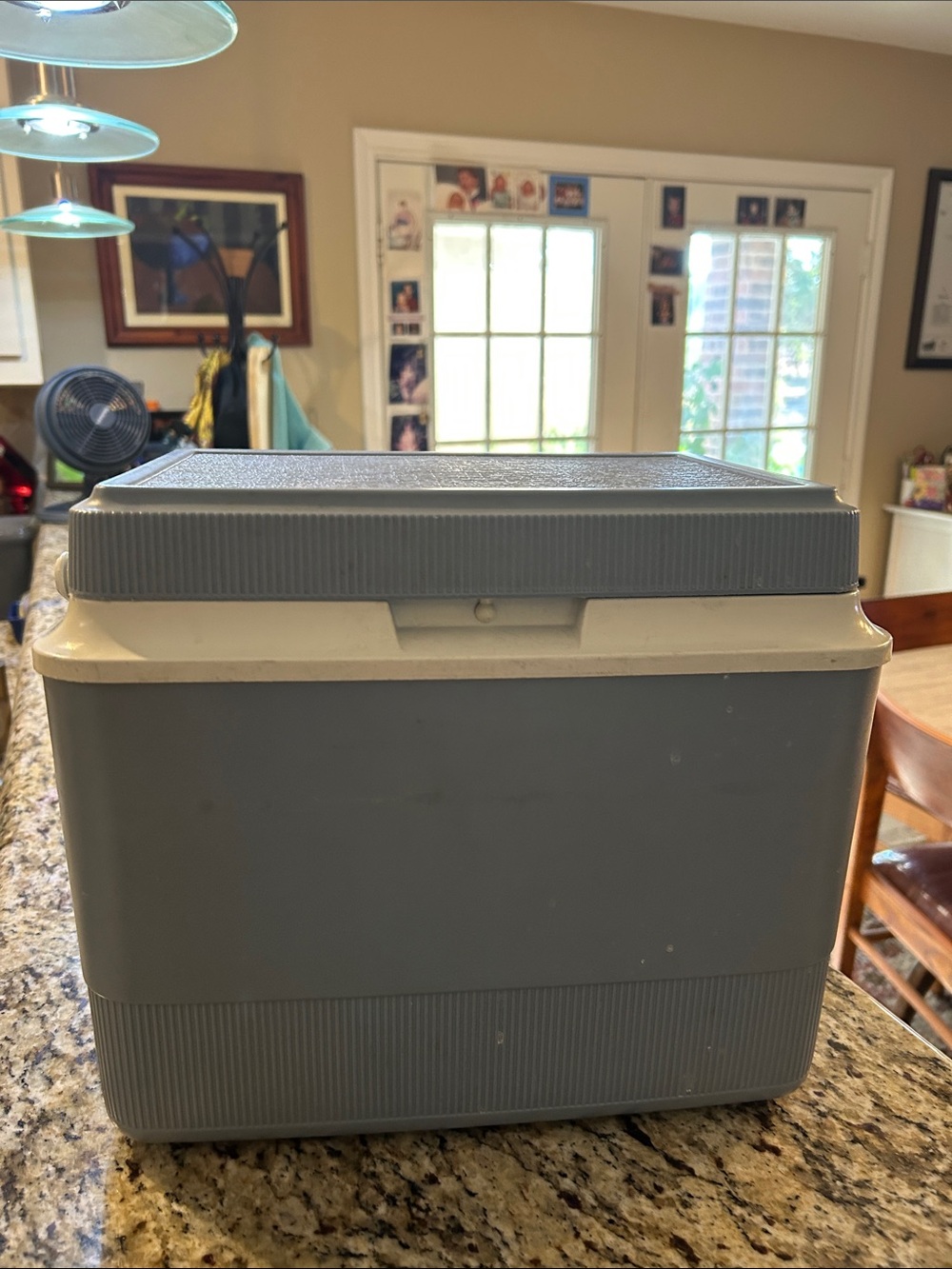 Gray Portable Cooler Box - Durable Plastic Practical Storage Cooler